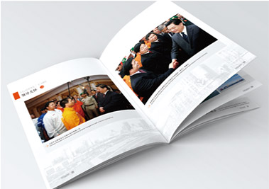 中国中材国际工程股份有限公司     