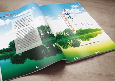 中电环保股份有限公司         