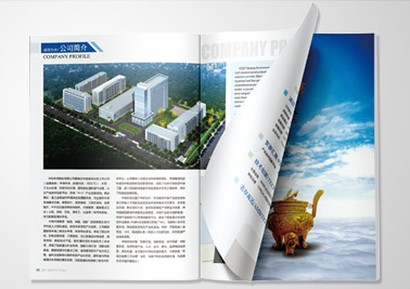 中电环保股份有限公司           